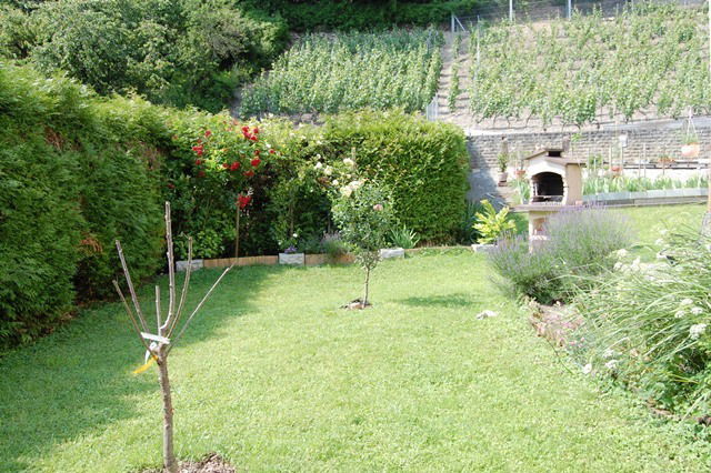 Niezależne Studio Bex 51698