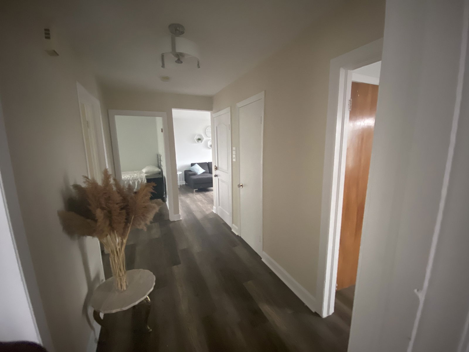 Niezależne Studio Montréal 253307