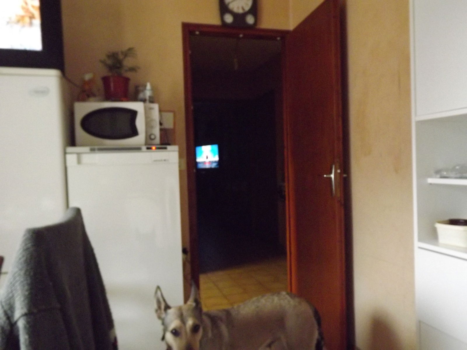 Zakwaterowanie U Rodziny Mieussy 53538