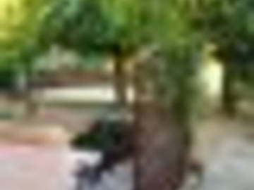Roomlala | Piękny nowoczesny dom do wynajęcia w centrum miasta