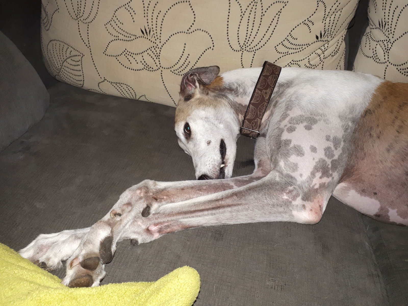 Zakwaterowanie U Rodziny Montréal 19054