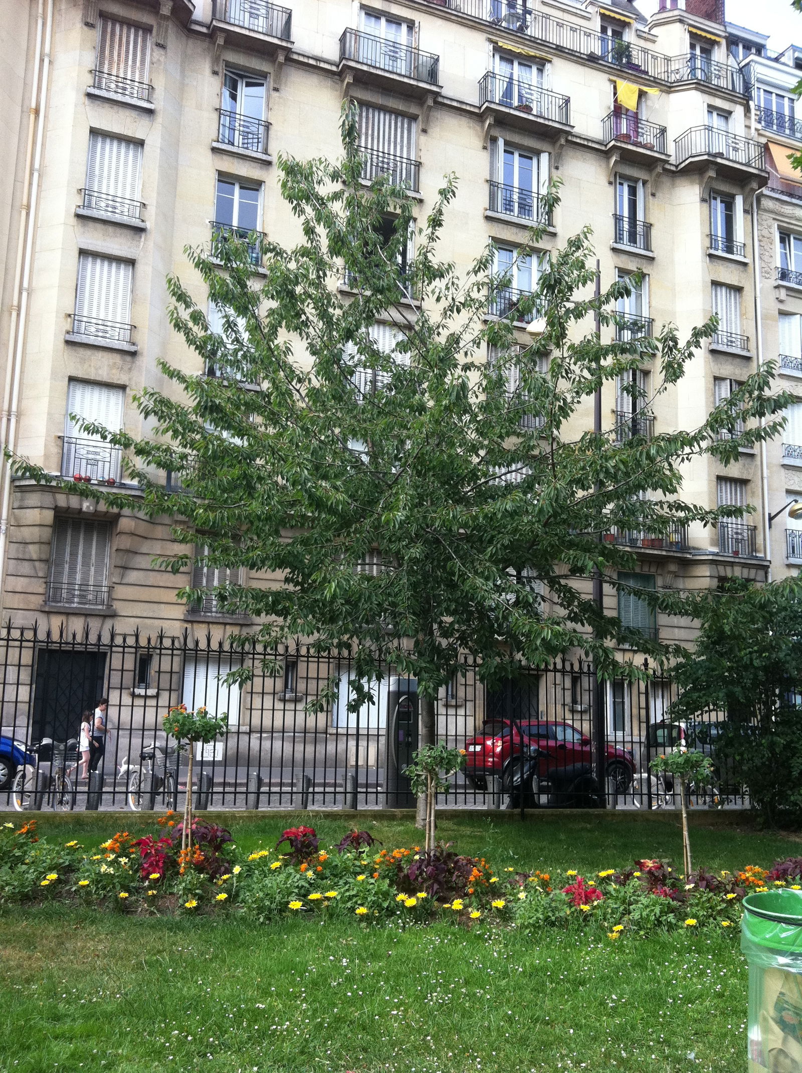 Zakwaterowanie U Rodziny Paris 107598