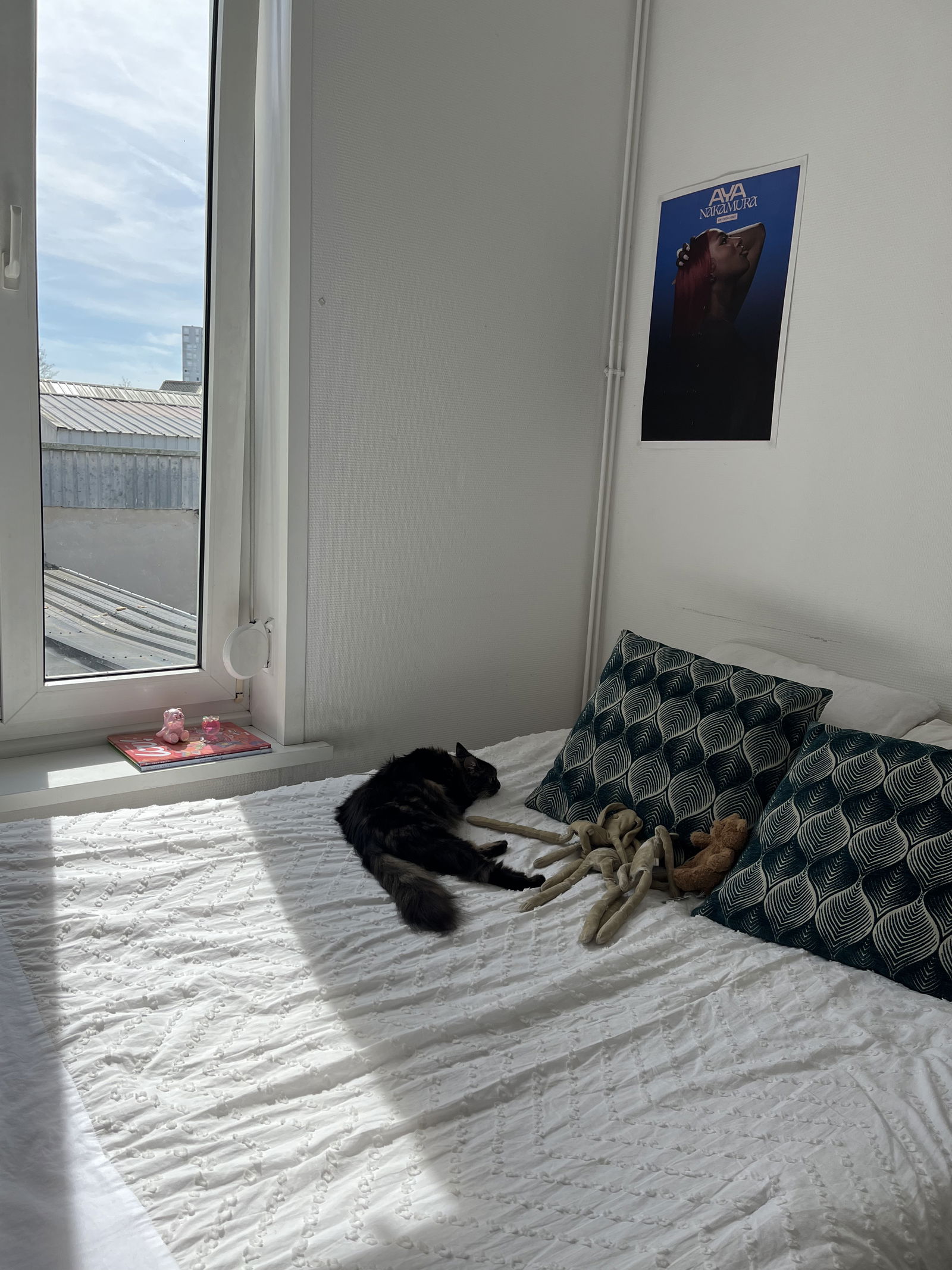 Colocation Lille 388352