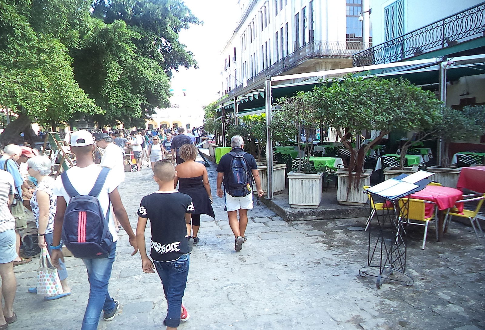 Gastfamilie La Habana 276695