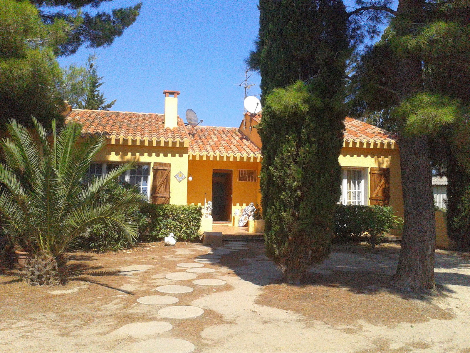 Kolokacja Pia 121141