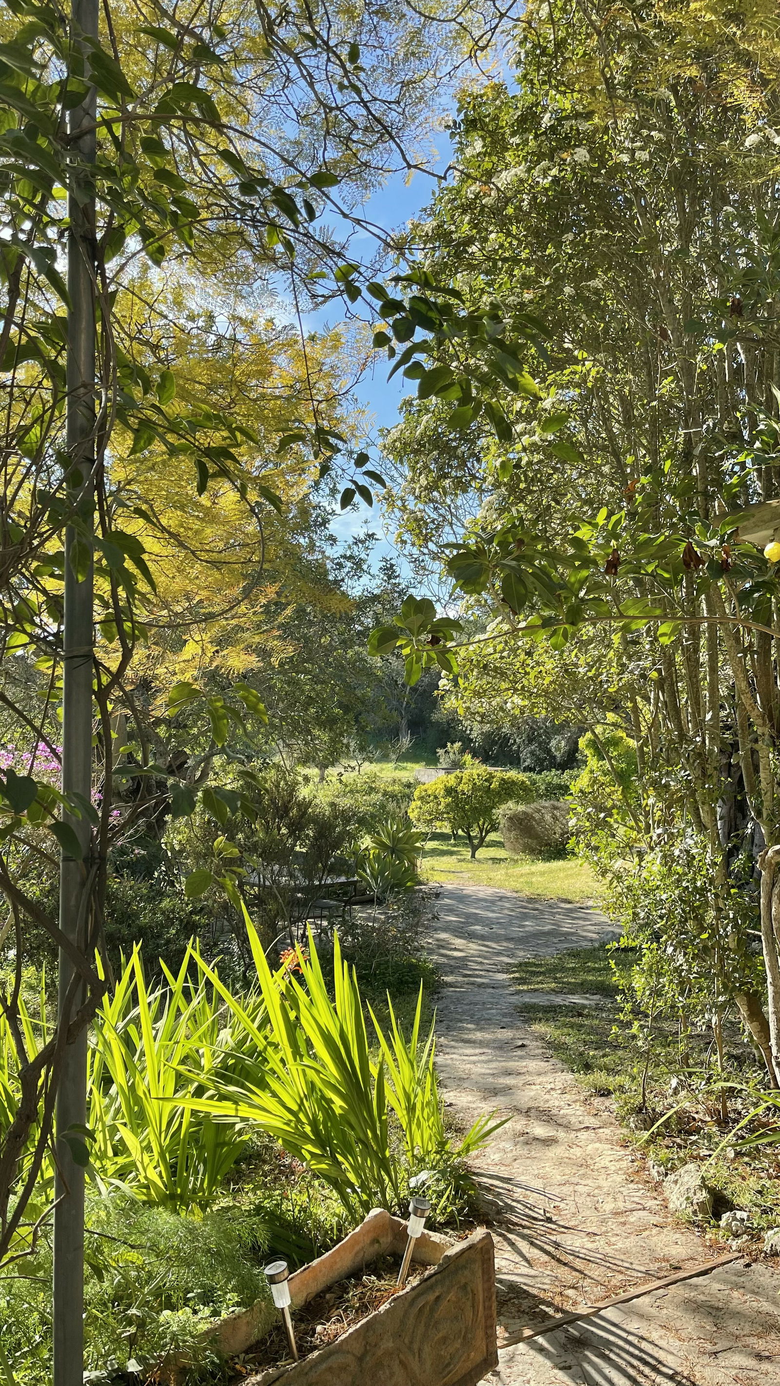 Tutta La Casa Manacor 224576