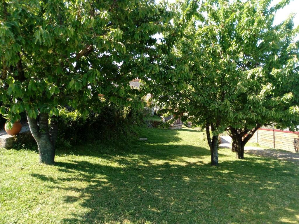 Toda La Casa Braga 254468