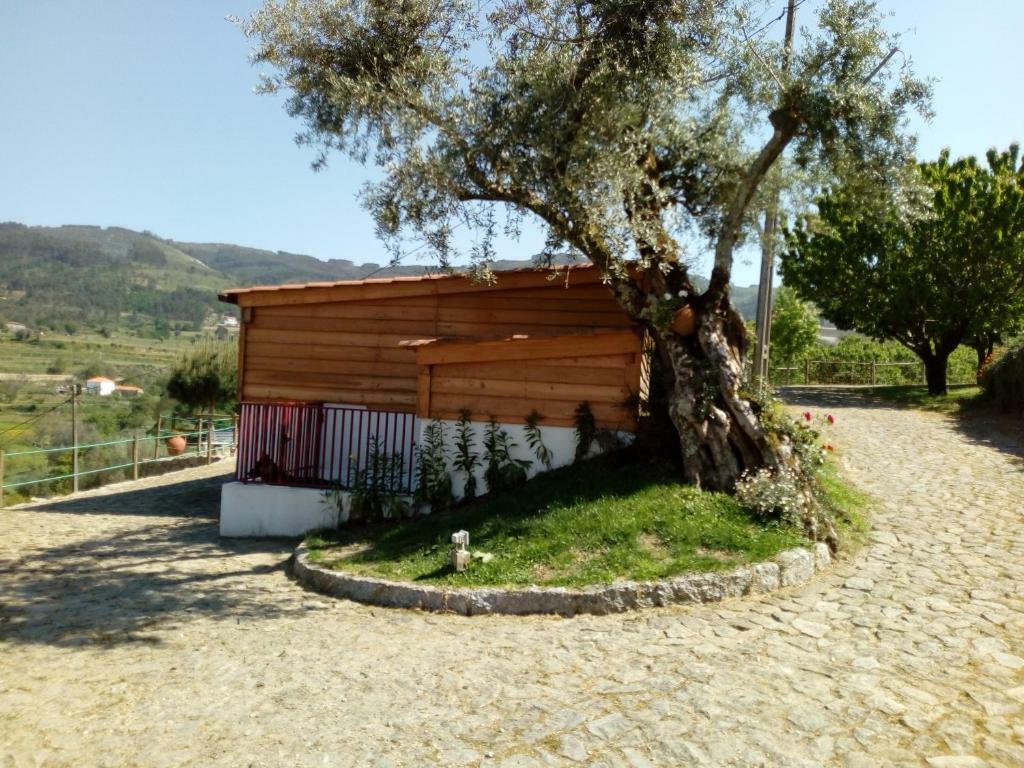 Toda La Casa Braga 254468