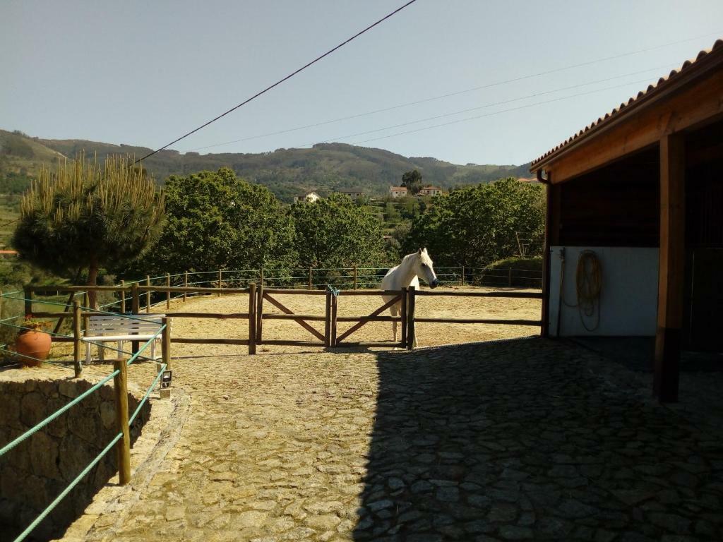 Toda La Casa Braga 254468