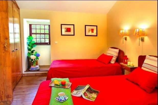 Toda La Casa Braga 254468