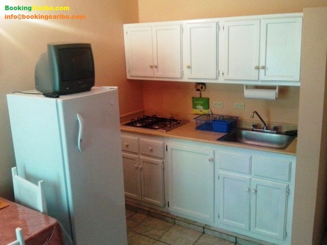 Estudio Independiente Dominicus 114445