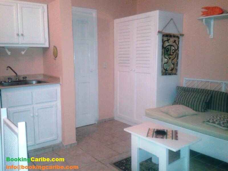 Estudio Independiente Dominicus 114445