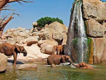 Logement Entier Valencia 152060-4