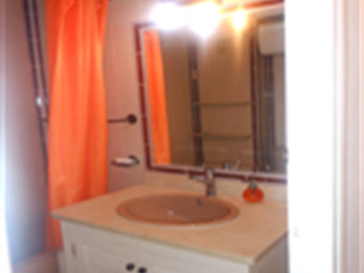 Kolokasie Valencia 96106-5