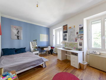 Roomlala | Piso Compartido Amueblado Con Encanto - Centro De Mulhouse