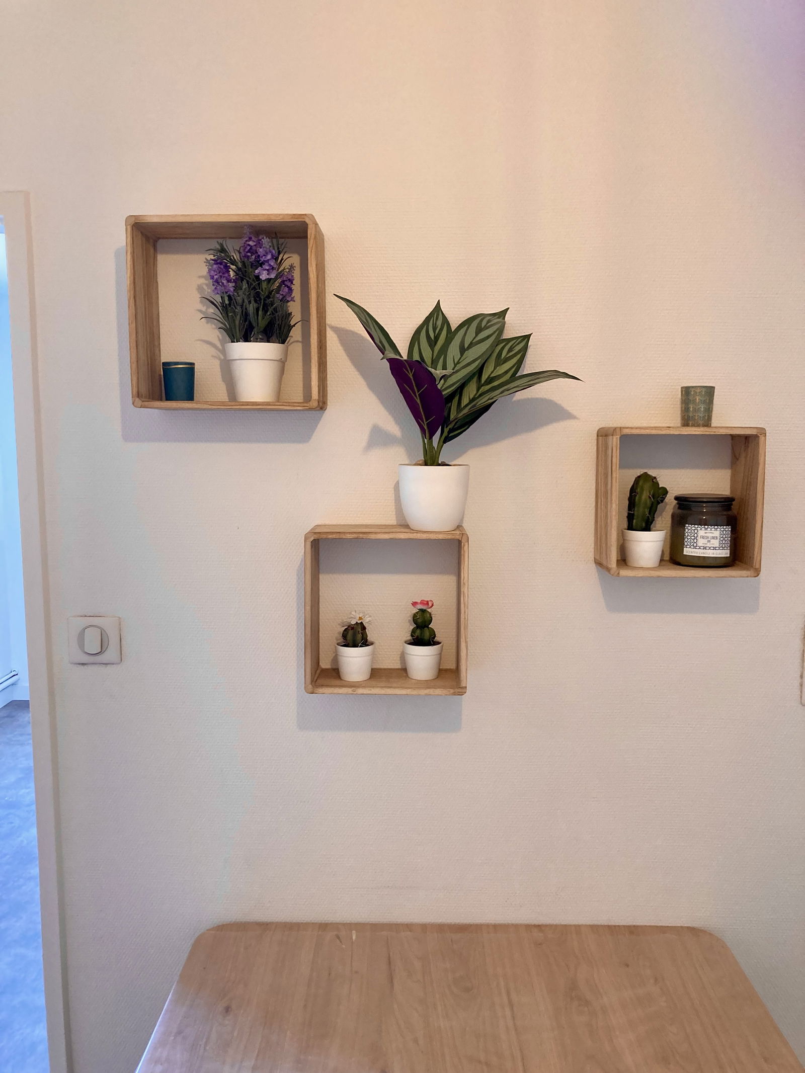 Colocación Nancy 258508