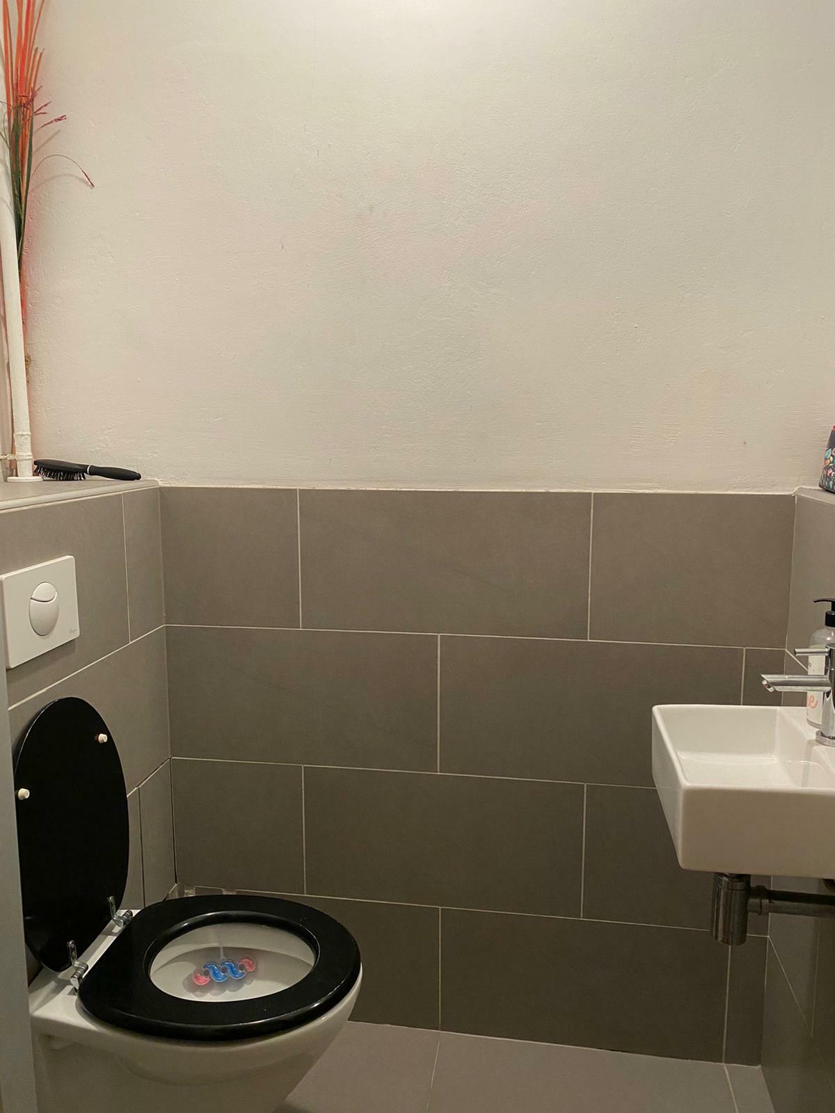 Colocación Amsterdam 246730