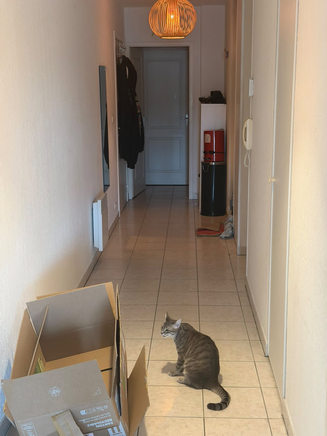 Piso Compartido Toulouse 676124