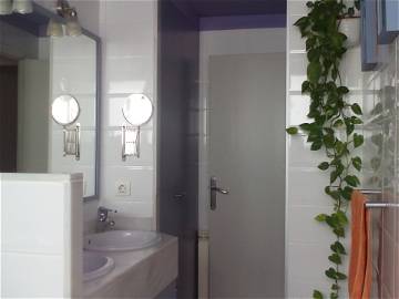 Shared Accommodation Barcelona 185531-6