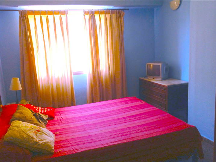 Kolokasie Valencia 96103-2