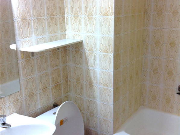 Kolokasie Valencia 96103-4