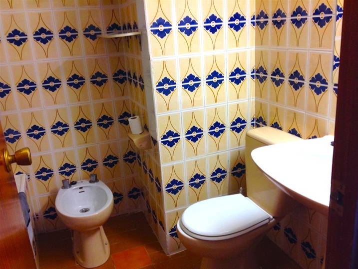 Kolokasie Valencia 96103-5