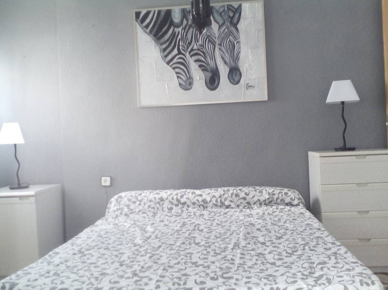 Homestay Alicante 168019-4