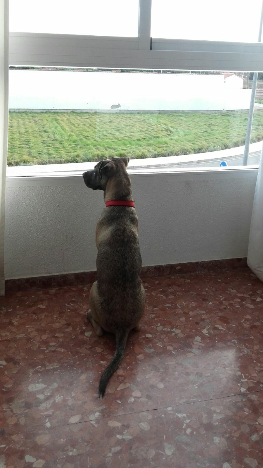 Colocación Almàssera 185295