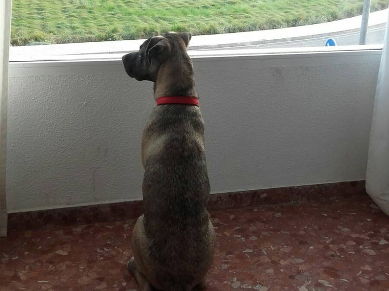 Colocation Almàssera 185295-2