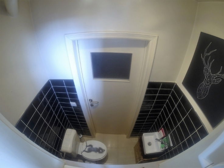 Colocación Schaerbeek 208315