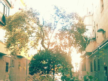 Colocation Madrid 93091-6