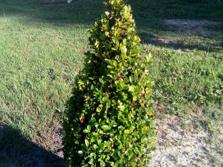 Colocation Saint-Vivien-de-Médoc 197600-1