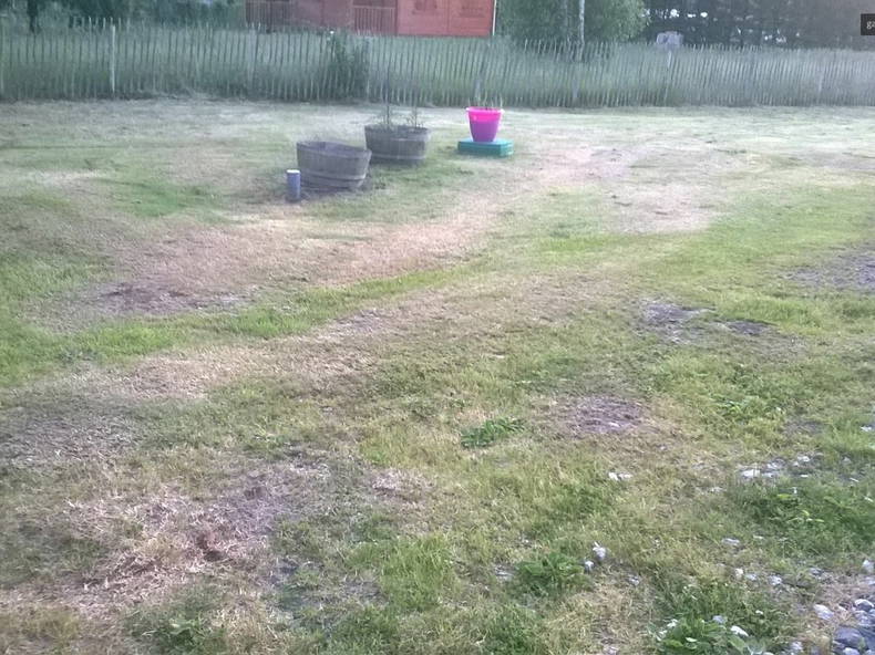 Colocation Saint-Vivien-de-Médoc 197600-3