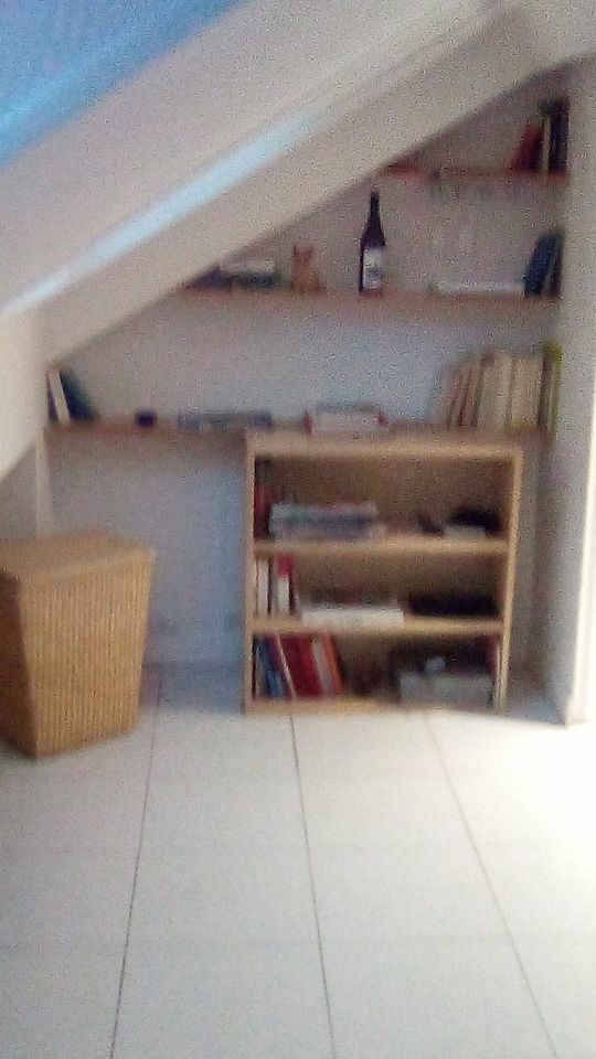 Colocation Paris 242702