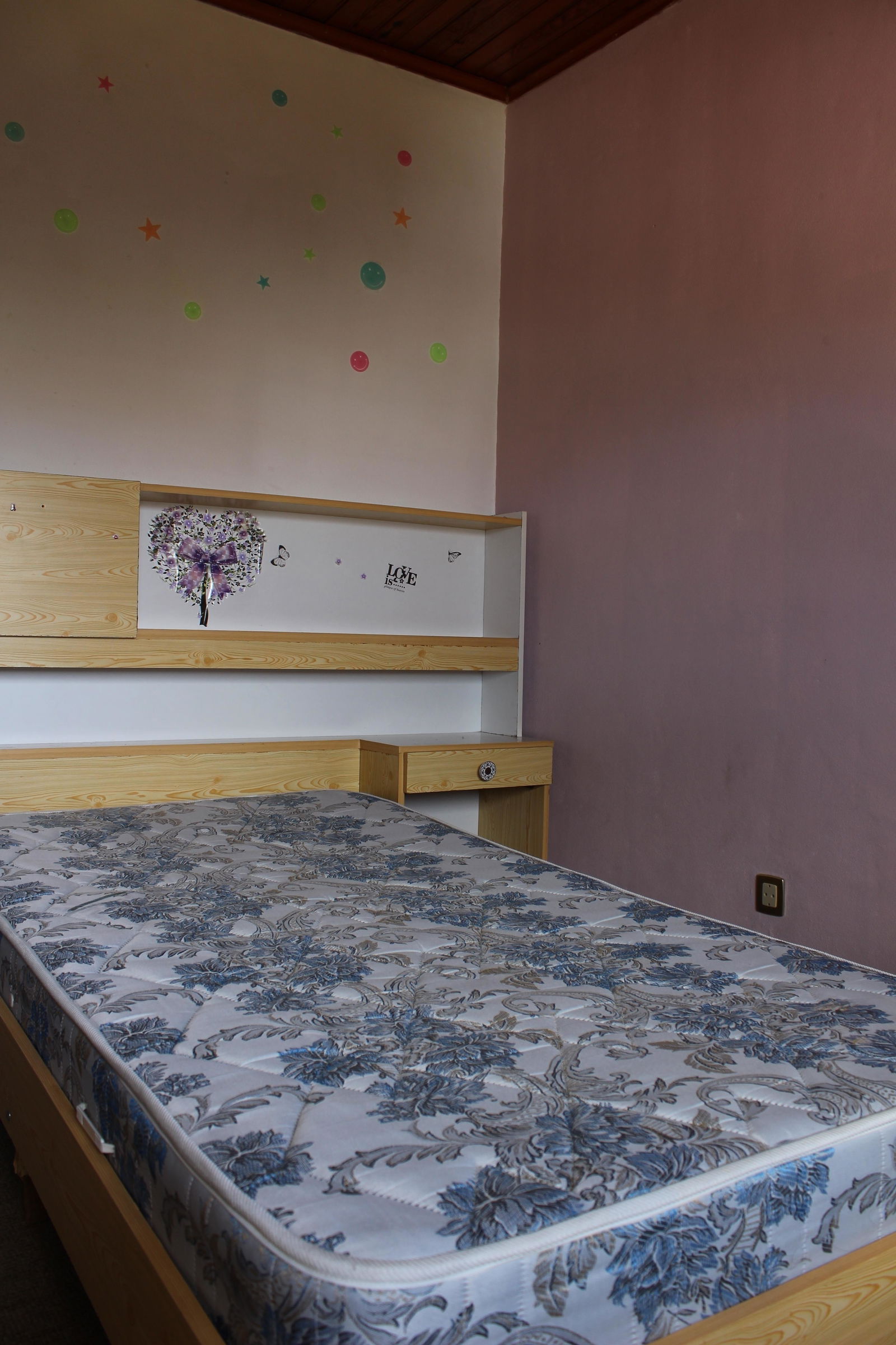 Colocation Coimbra 181685