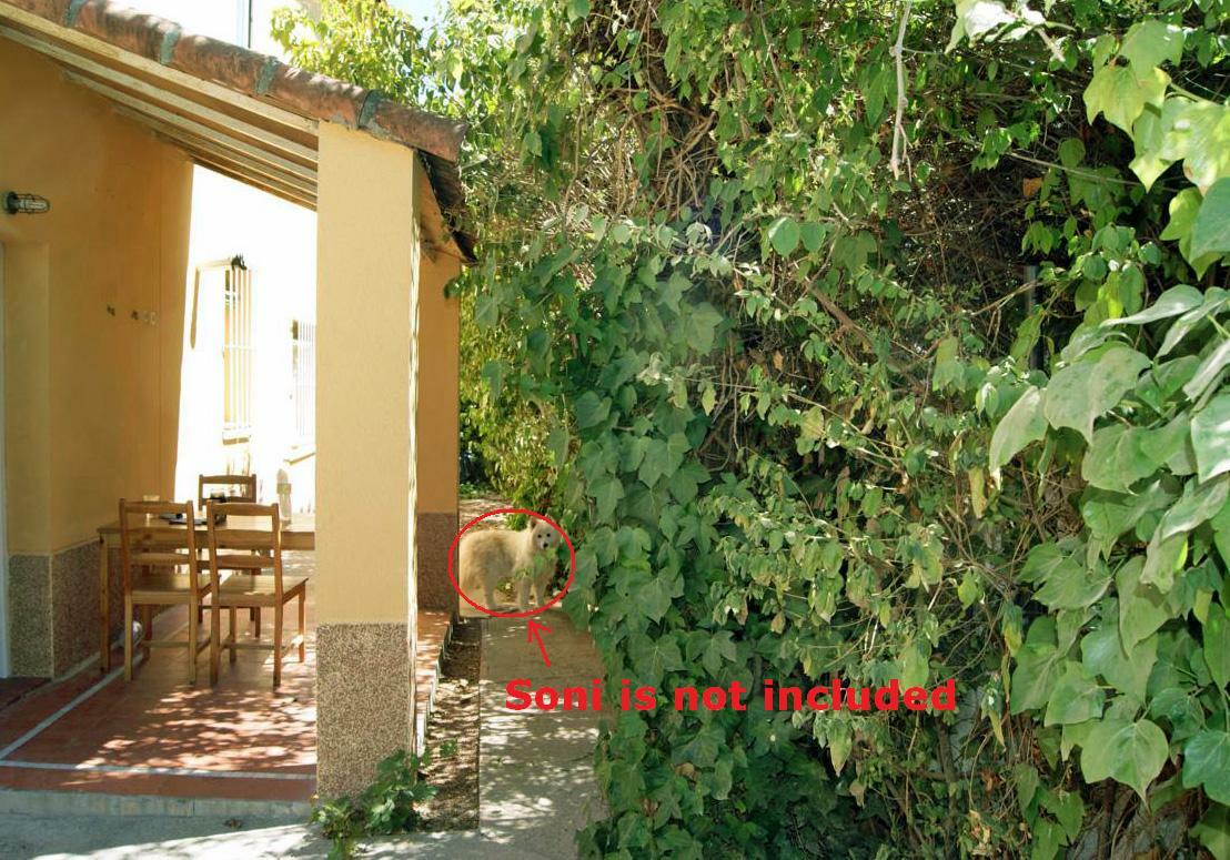 Colocation Madrid 166528