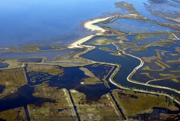 Studio Indépendant La Teste-de-Buch 65642