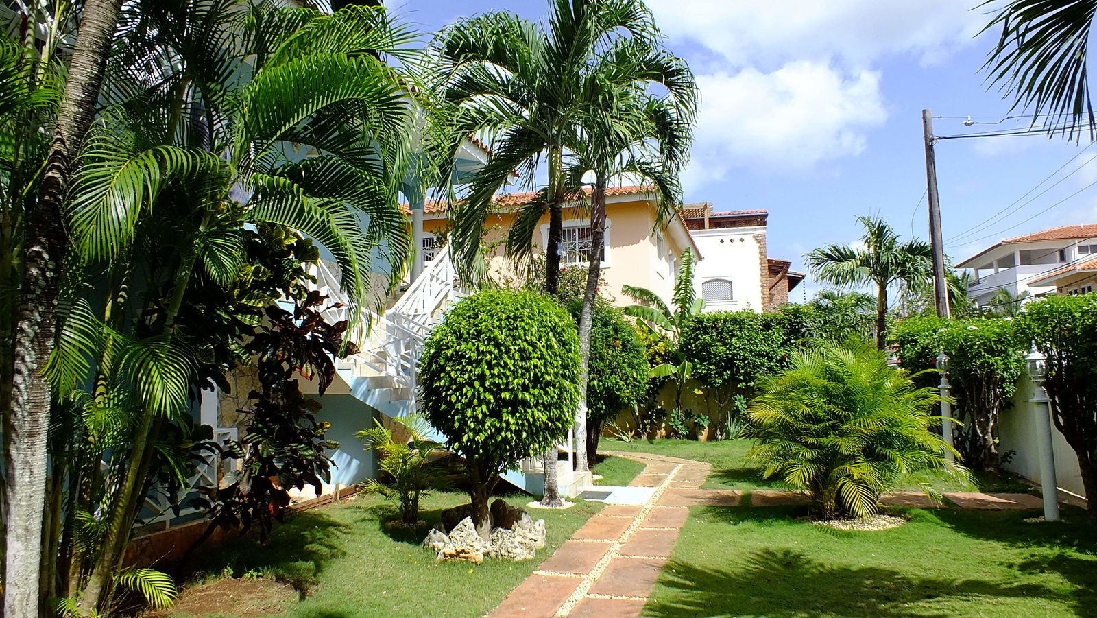 Estudio Independiente Dominicus 81528