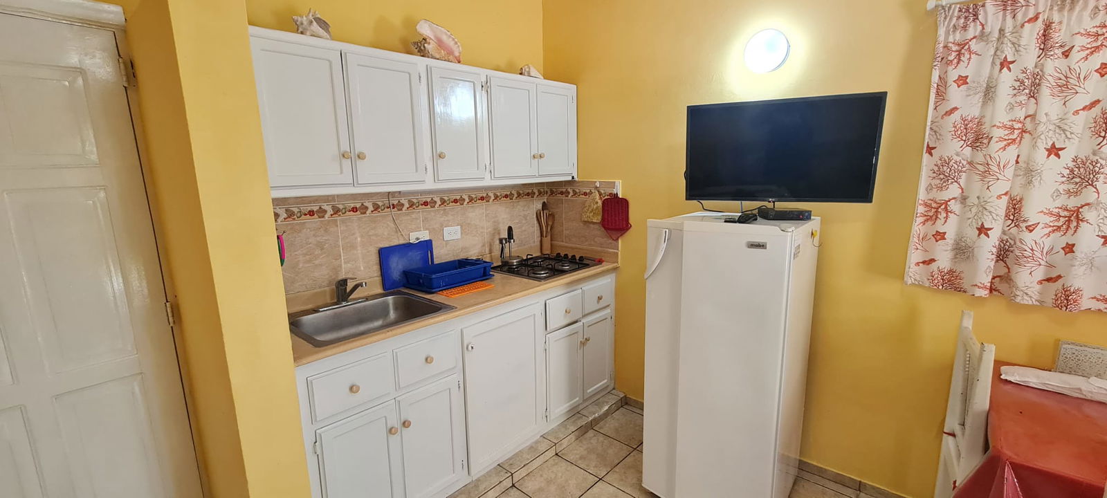 Estudio Independiente Dominicus 81528