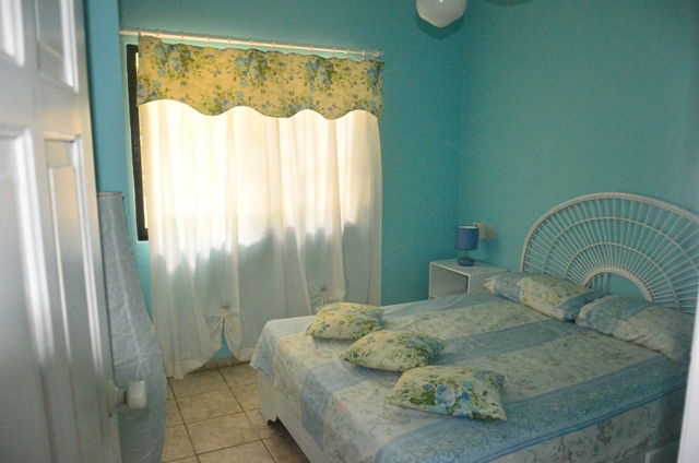 Estudio Independiente Dominicus 81528