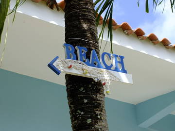 Logement Entier Dominicus 81528-9