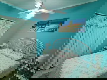 Logement Entier Dominicus 81528-4