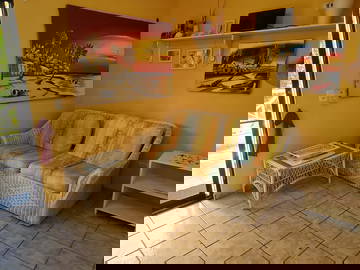 Logement Entier Dominicus 81528-6