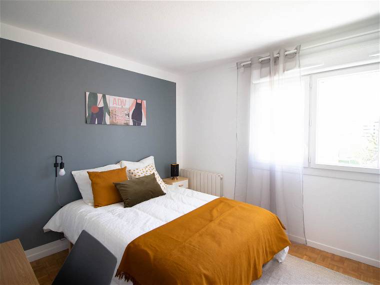 Chambre À Louer Grenoble 264774