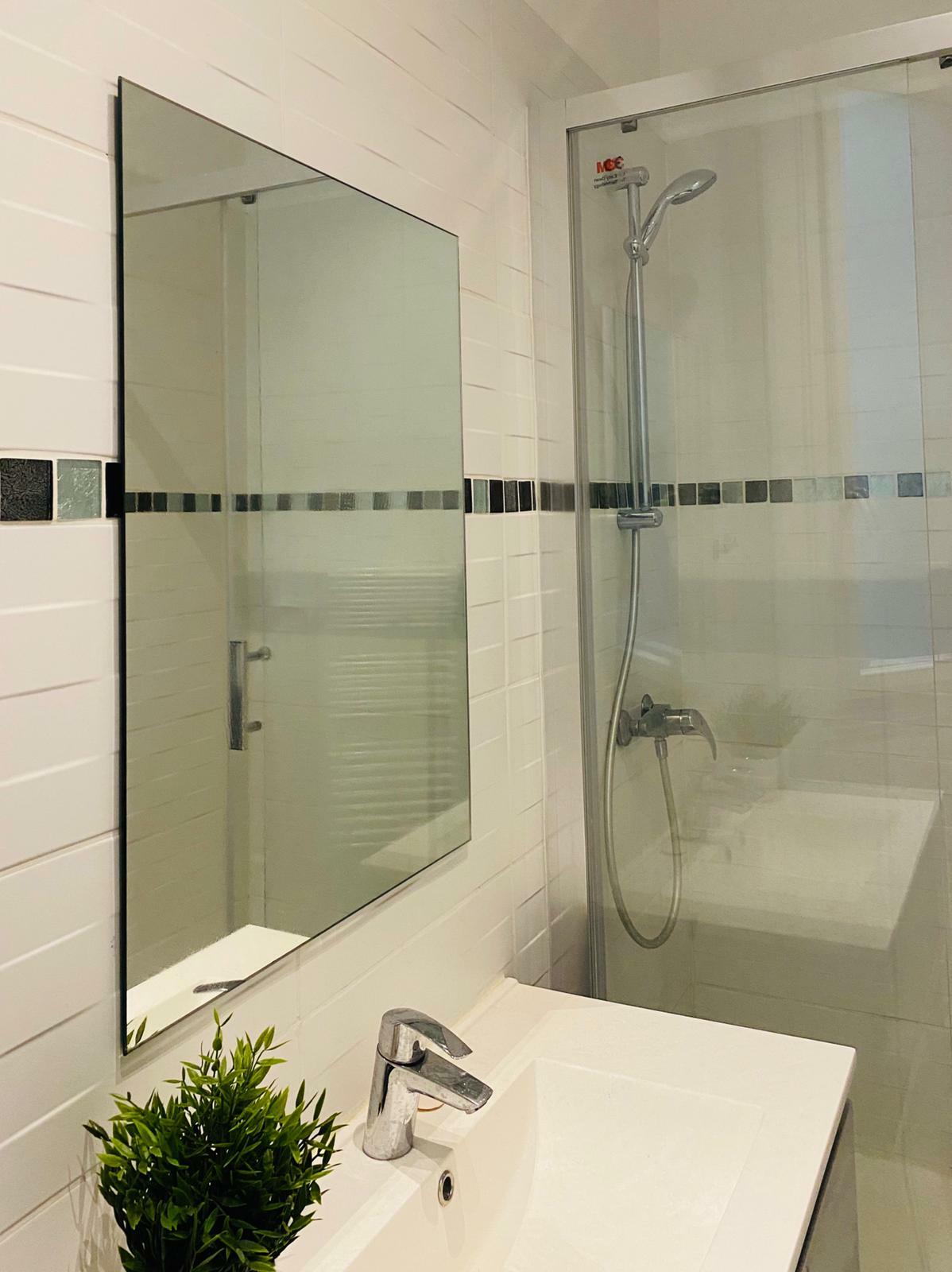 Colocation Paris 243005