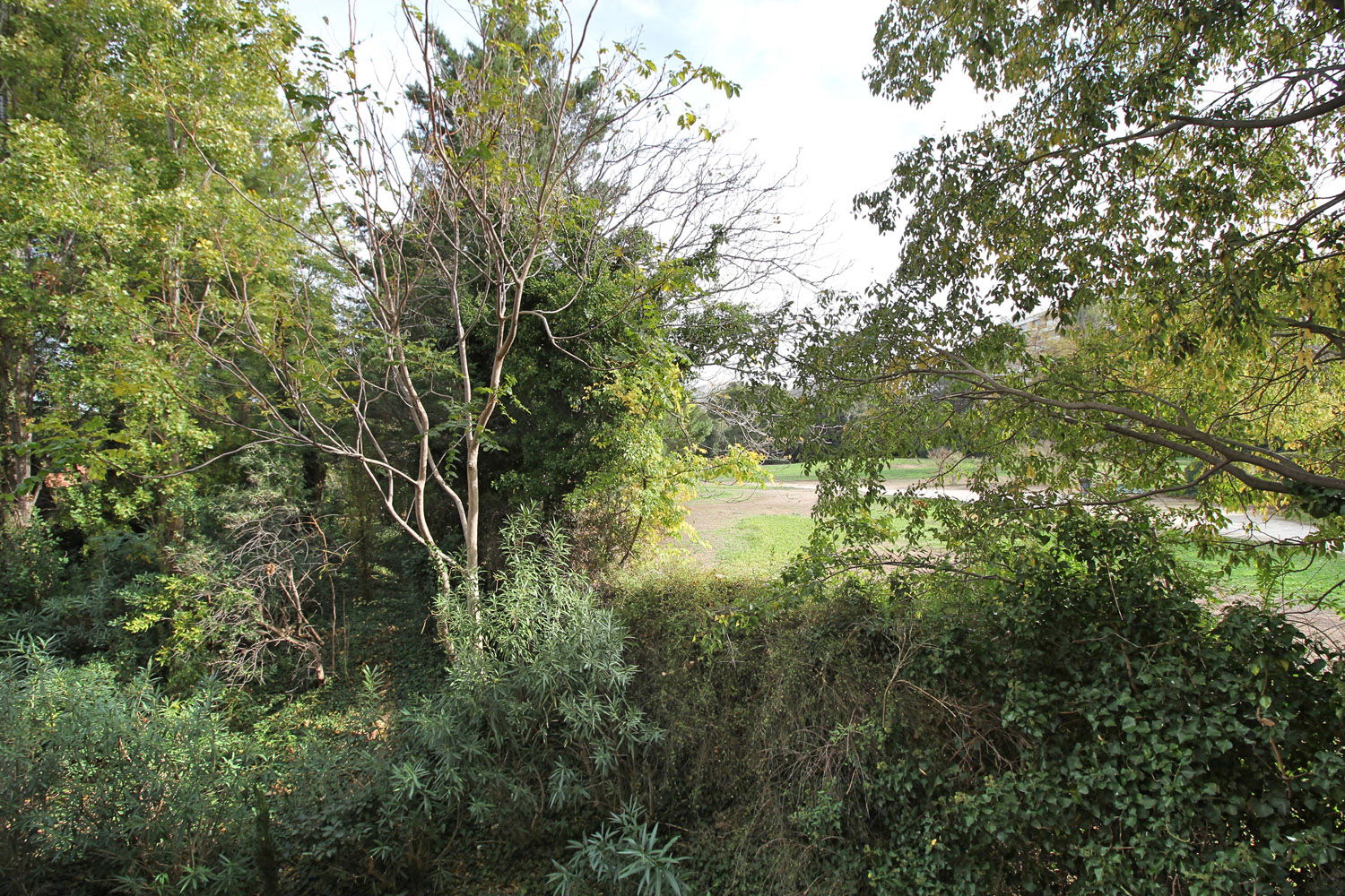 Colocation Marseille 264800