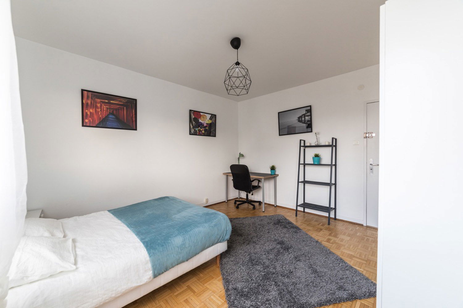 Colocation Strasbourg 264701
