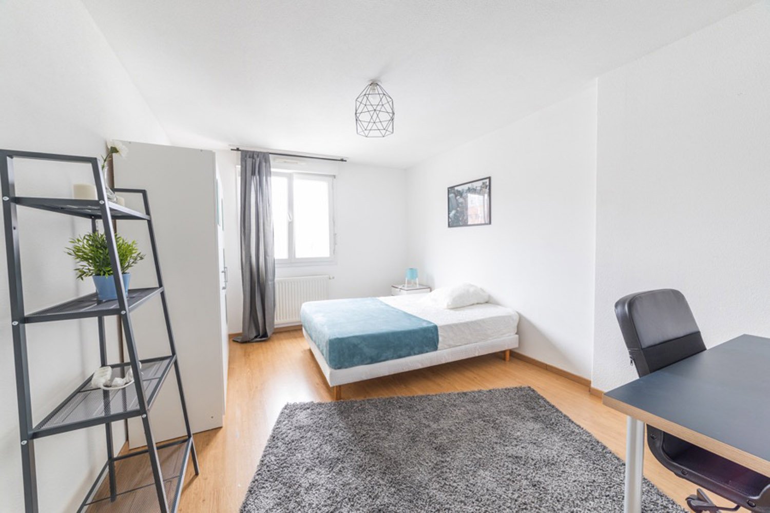 Colocation Strasbourg 264710