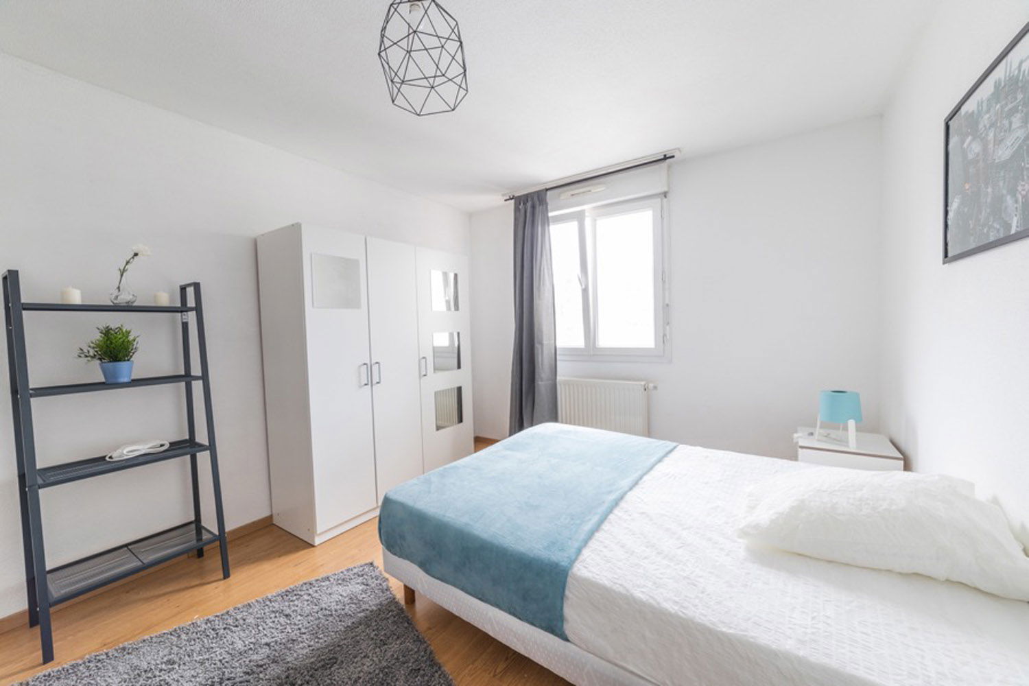 Colocation Strasbourg 264710