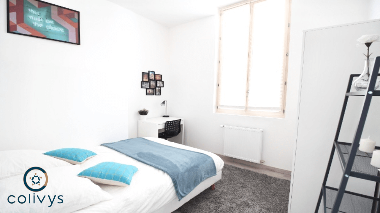 Colocation Bordeaux 226232